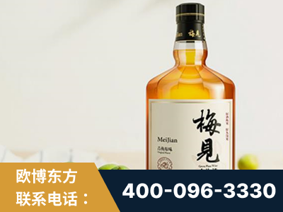 赤水-梅见青梅酒